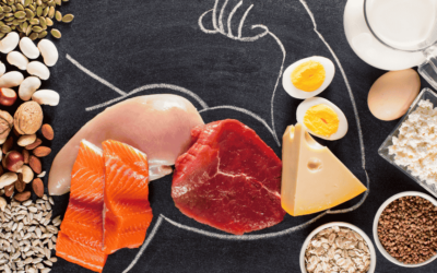 Protein für Muskelaufbau: Wie viel brauchst du wirklich?